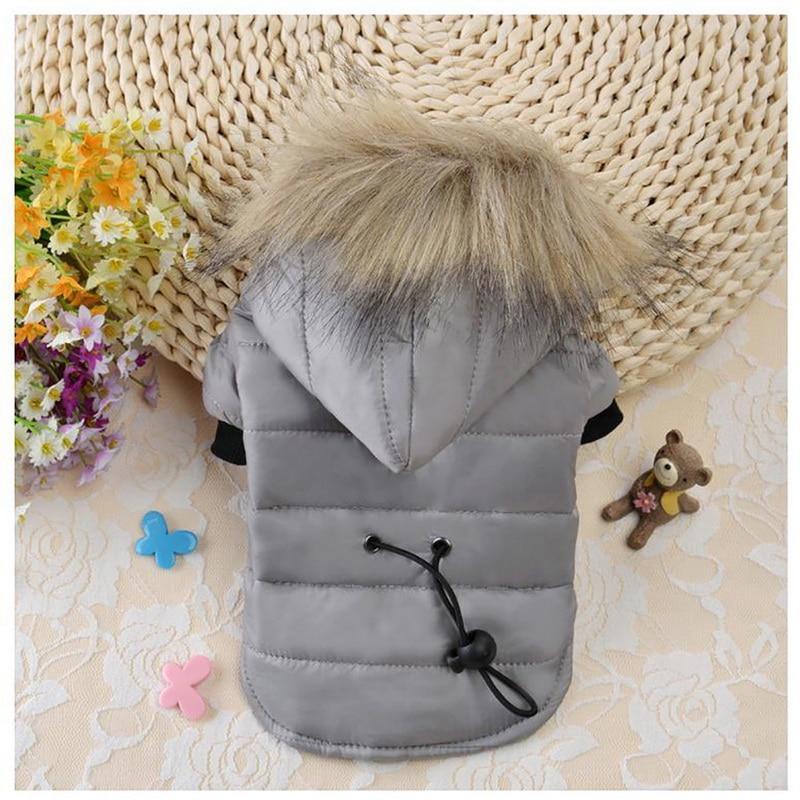Dog Winter Coat | Pet Warm Coat | Clarity Rhythm