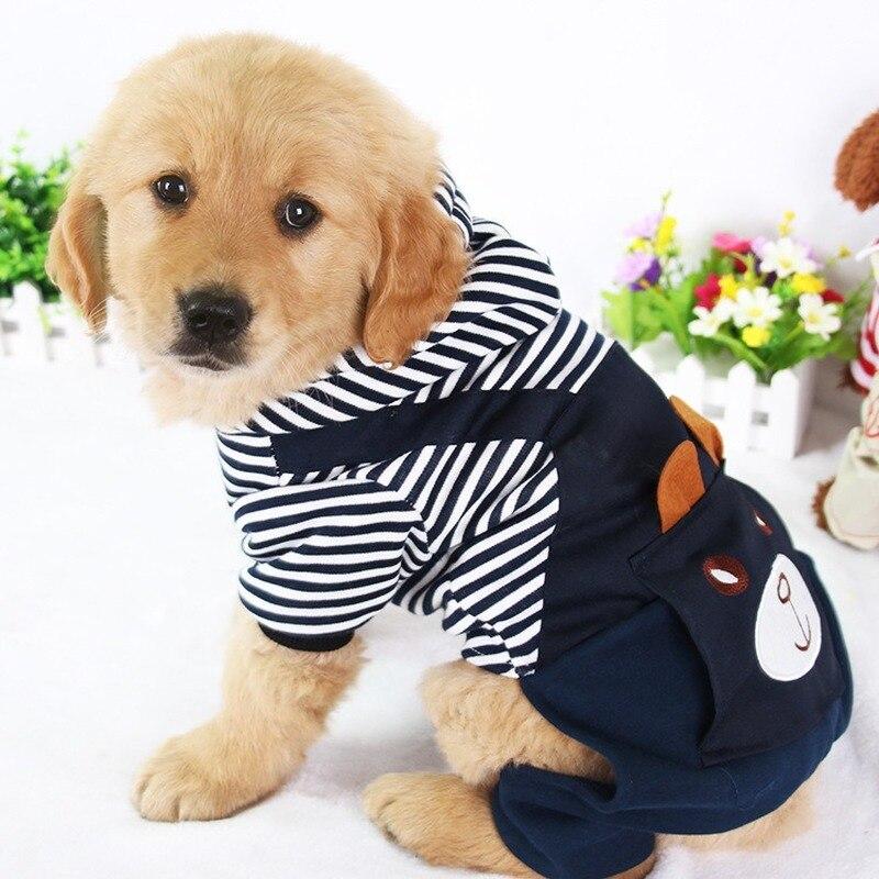 Dog Winter Clothes | Stylish Dog Clothes | Clarity Rhythm