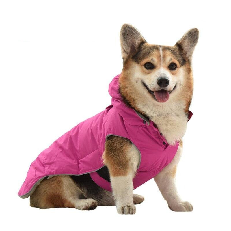 Dog Harness Coat | Adjustable Dog Harness Coat | Clarity Rhythm