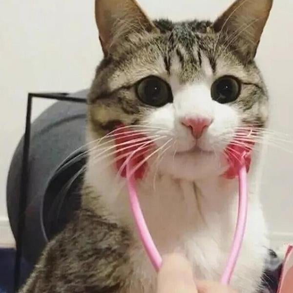 Cat Face Massager | Cat Massager Roller | Clarity Rhythm