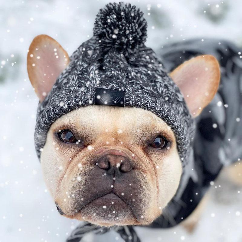 Dog Warm Hat | Dog Cozy Hat | Clarity Rhythm
