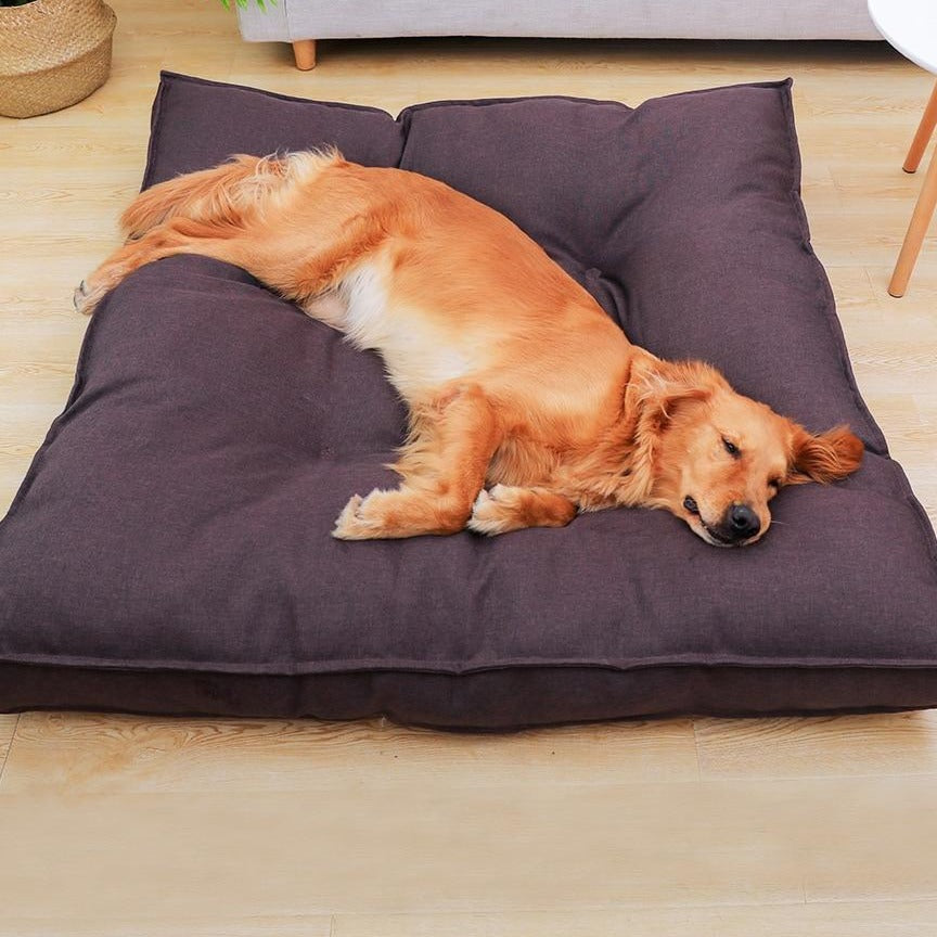 Dog Sofa Bed | Pet Sofa Bed | Clarity Rhythm