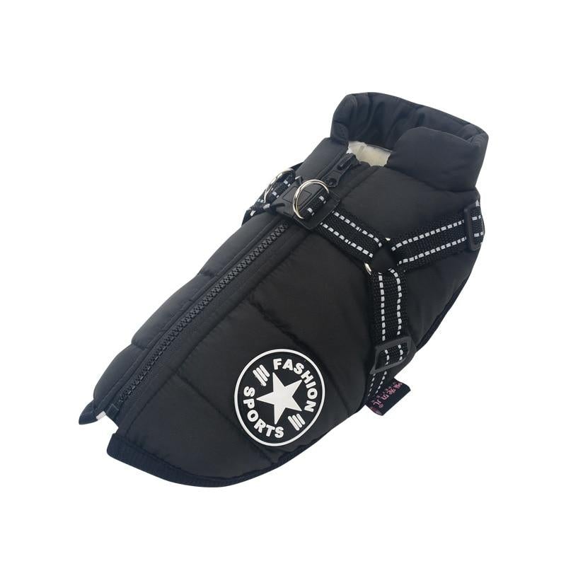 Waterproof Dog Jacket | Dog Jacket with Harness | Clarity Rhythm