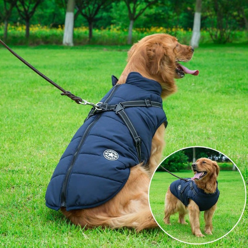 Waterproof Dog Jacket | Dog Jacket with Harness | Clarity Rhythm