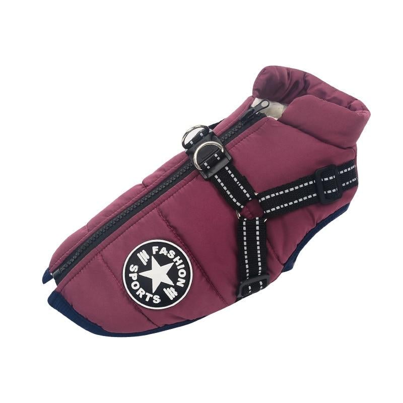 Waterproof Dog Jacket | Dog Jacket with Harness | Clarity Rhythm