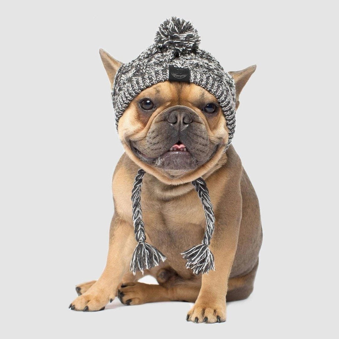 Dog Warm Hat | Dog Cozy Hat | Clarity Rhythm
