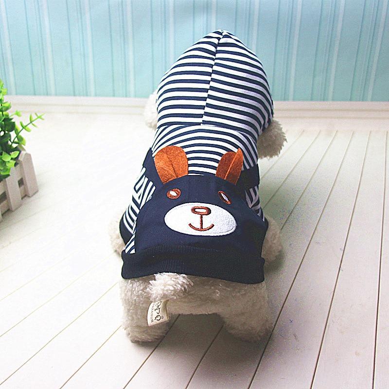 Dog Winter Clothes | Stylish Dog Clothes | Clarity Rhythm