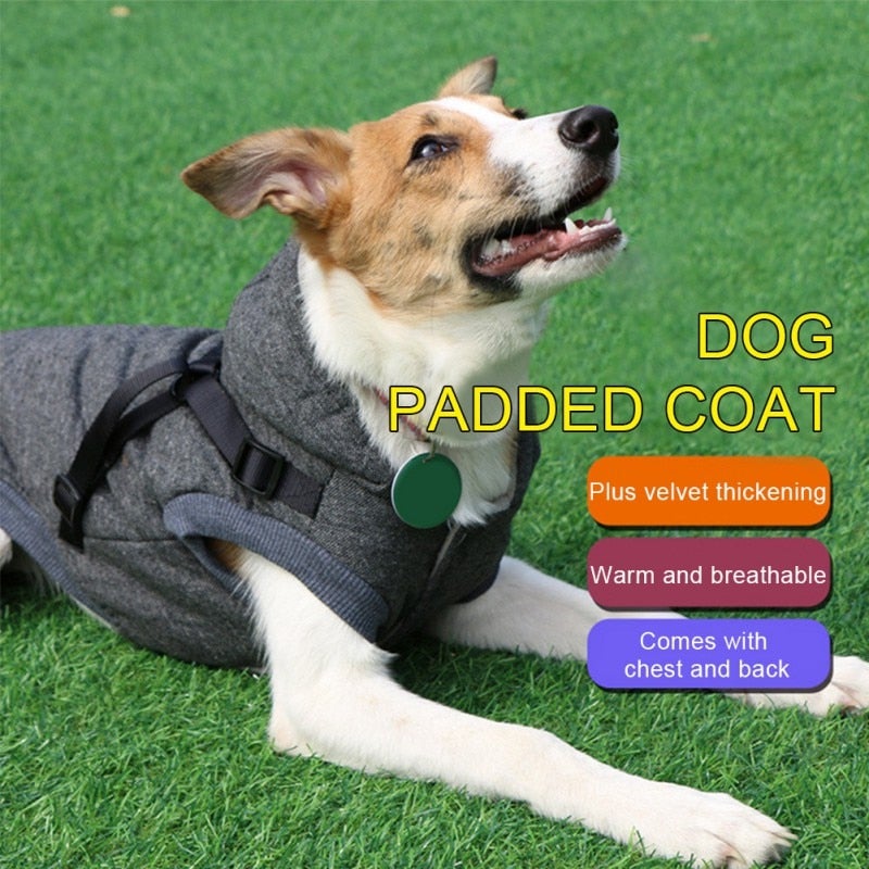 Dog Harness Coat | Adjustable Dog Harness Coat | Clarity Rhythm