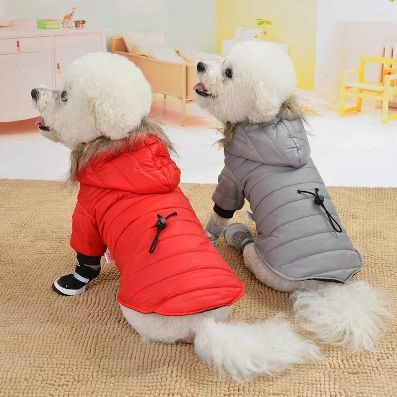 Dog Winter Coat | Pet Warm Coat | Clarity Rhythm