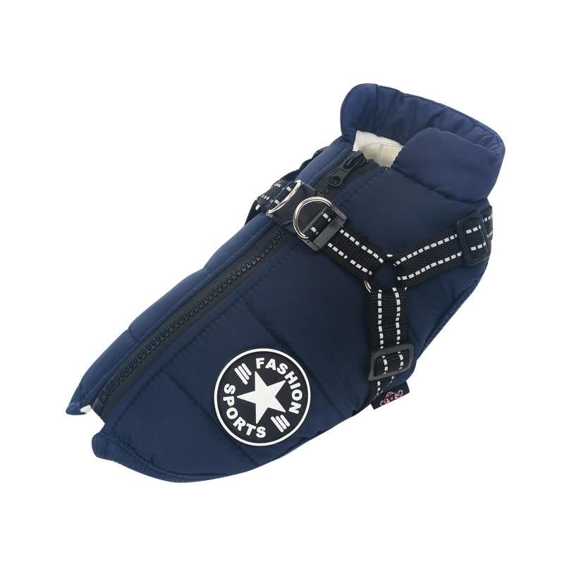 Waterproof Dog Jacket | Dog Jacket with Harness | Clarity Rhythm