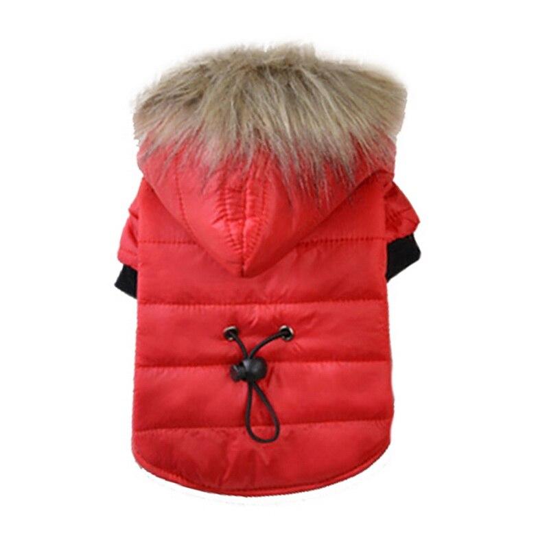 Dog Winter Coat | Pet Warm Coat | Clarity Rhythm