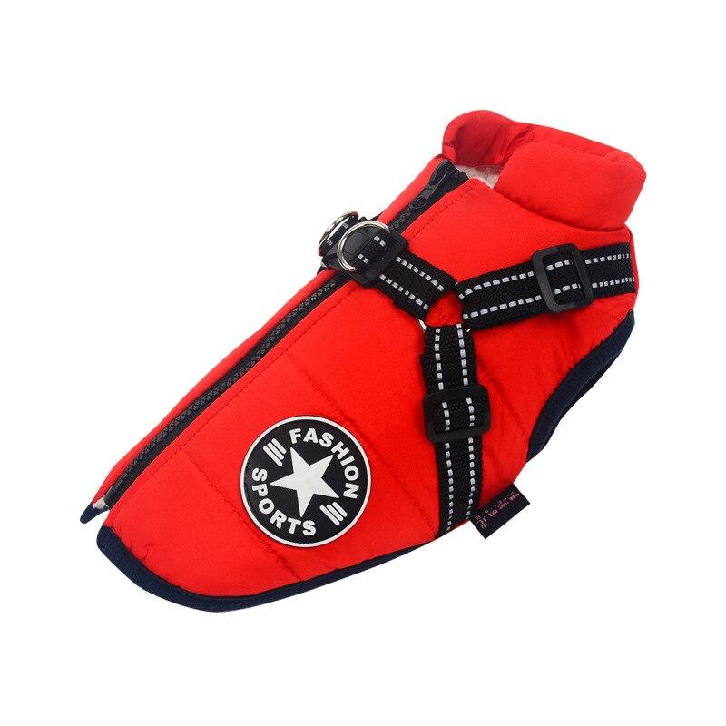 Waterproof Dog Jacket | Dog Jacket with Harness | Clarity Rhythm