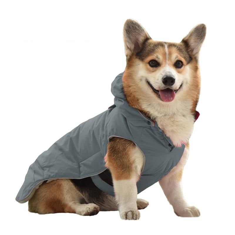 Dog Harness Coat | Adjustable Dog Harness Coat | Clarity Rhythm