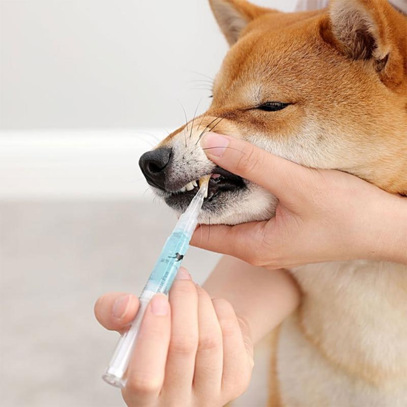 Dog Teeth Cleaning Pen | Dog Teeth Cleaner | Clarity Rhythm
