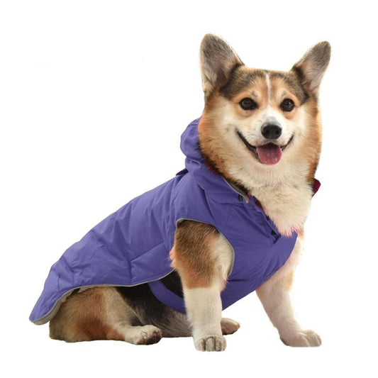 Dog Harness Coat | Adjustable Dog Harness Coat | Clarity Rhythm