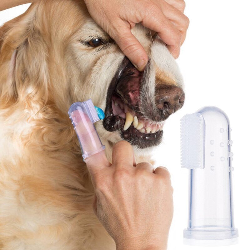 Dog Finger Toothbrush | Cat Finger Toothbrush | Clarity Rhythm