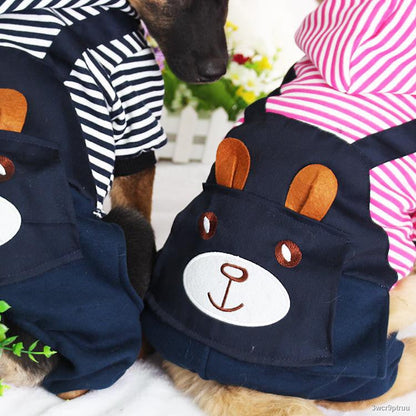 Dog Winter Clothes | Stylish Dog Clothes | Clarity Rhythm