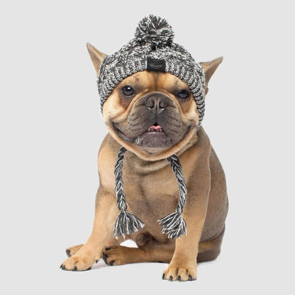 Dog Warm Hat | Dog Cozy Hat | Clarity Rhythm