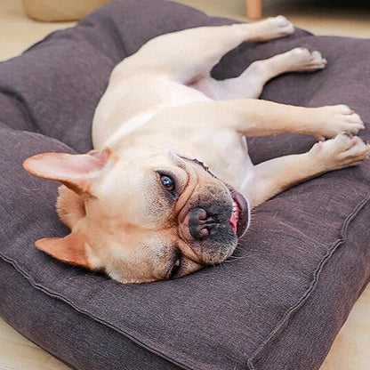 Dog Sofa Bed | Pet Sofa Bed | Clarity Rhythm