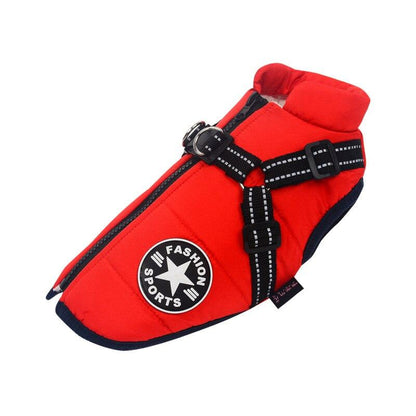 Waterproof Dog Jacket | Dog Jacket with Harness | Clarity Rhythm