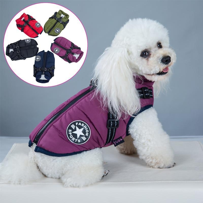 Waterproof Dog Jacket | Dog Jacket with Harness | Clarity Rhythm