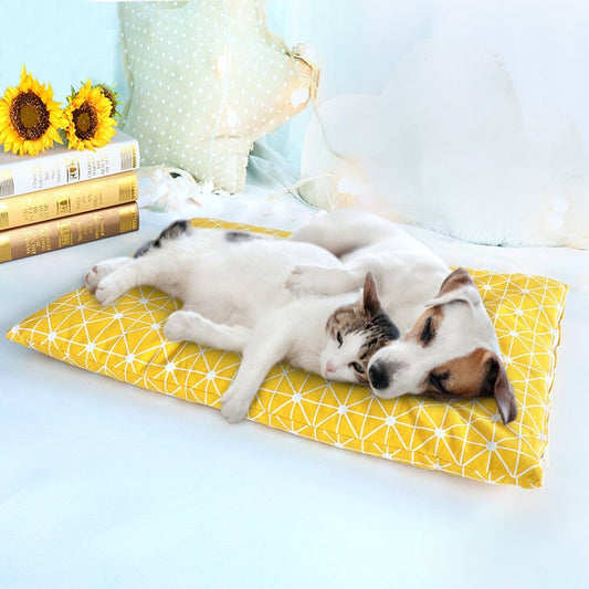 Warm Dog Bed | Cozy Dog Bed | Clarity Rhythm